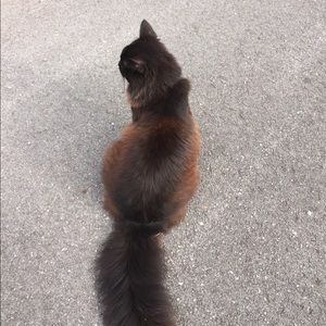 Meet your Posher, Abbigail